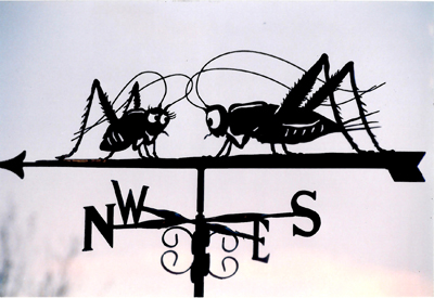 Crickets weather vane